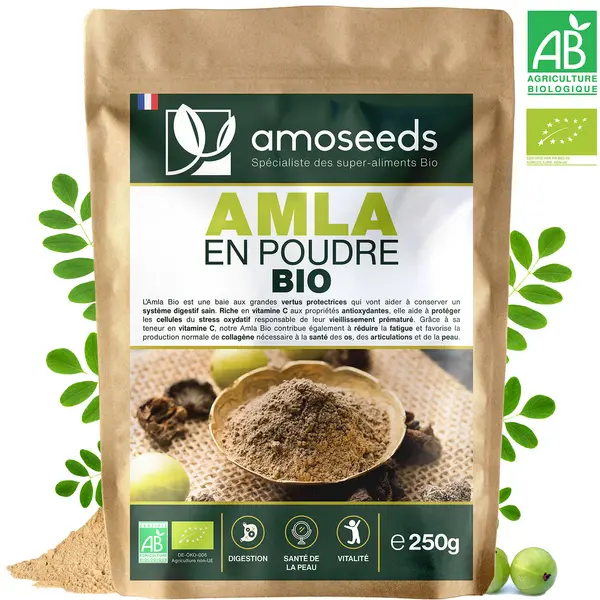 Poudre d’Amla Bio