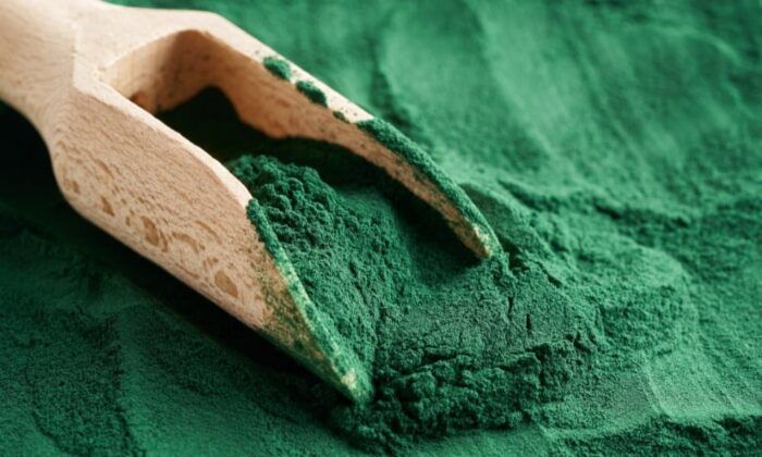 Spiruline en poudre
