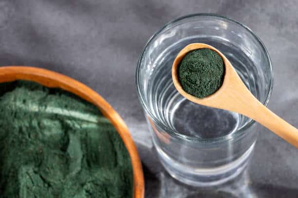 Spoon with organic spirulina powder and glass of filtered water Spiruline en poudre pour soins capilaires