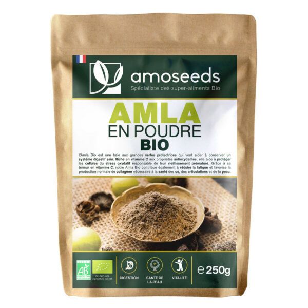 Poudre d’Amla Bio