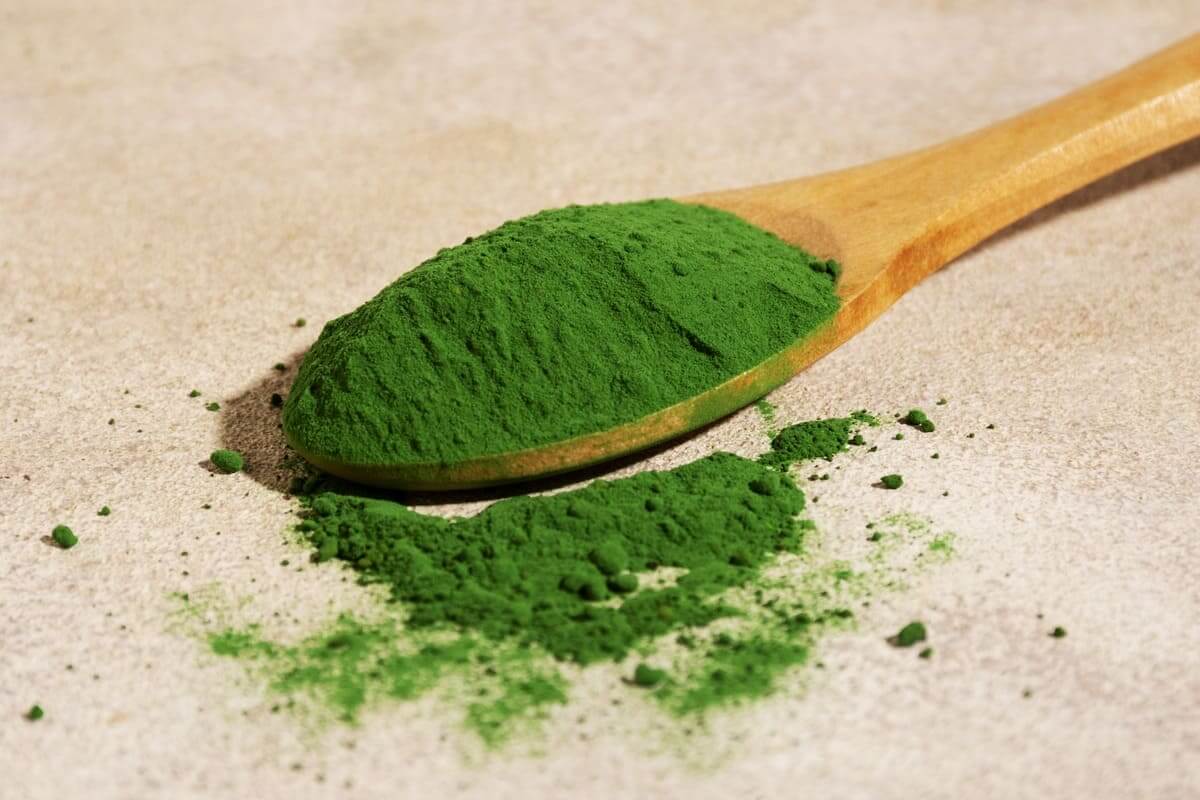 spiruline en poudre
