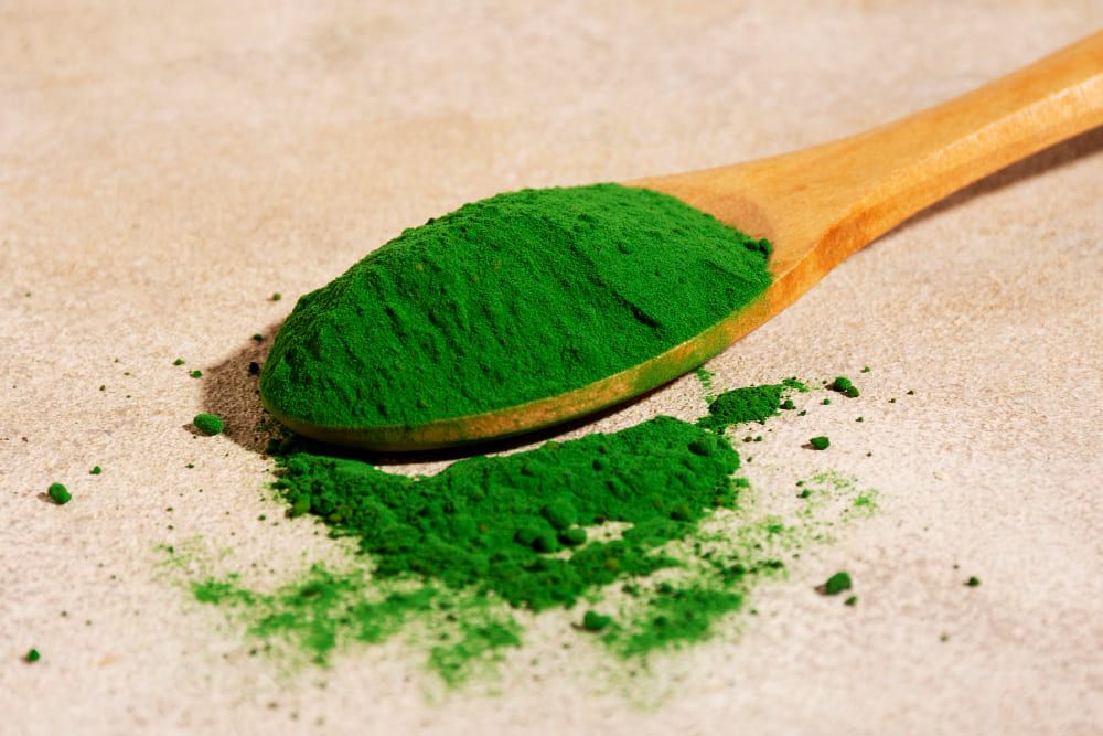 Poudre de chlorella